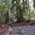 熊野古道〜大門坂から歩く熊野那智大社〜