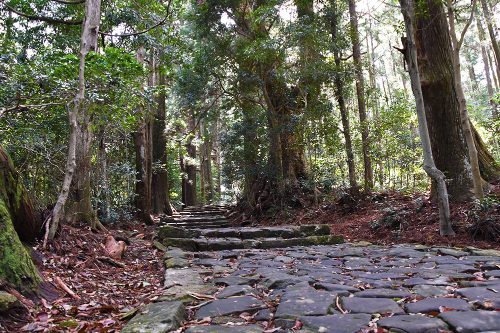 熊野古道〜大門坂から歩く熊野那智大社〜