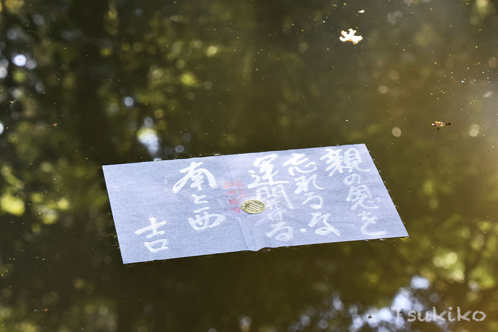 神々のふるさと・出雲で縁結びめぐり